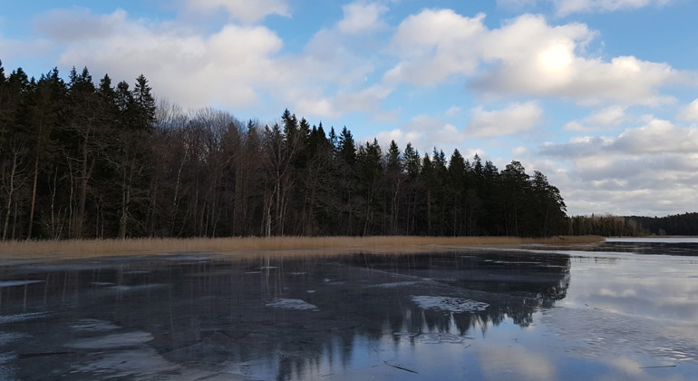 Foto: Per Folkesson