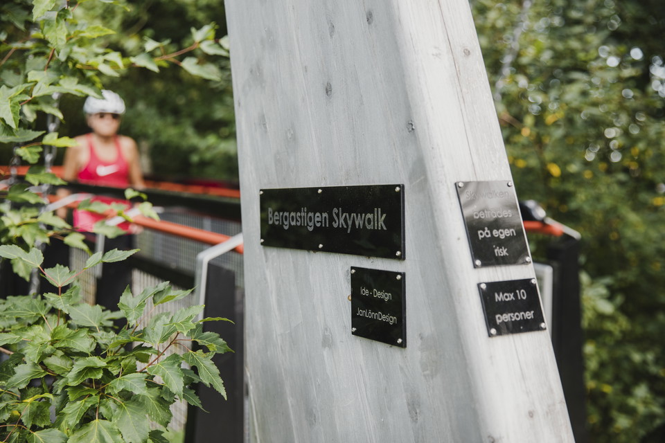 Fotograf Alexander Hall