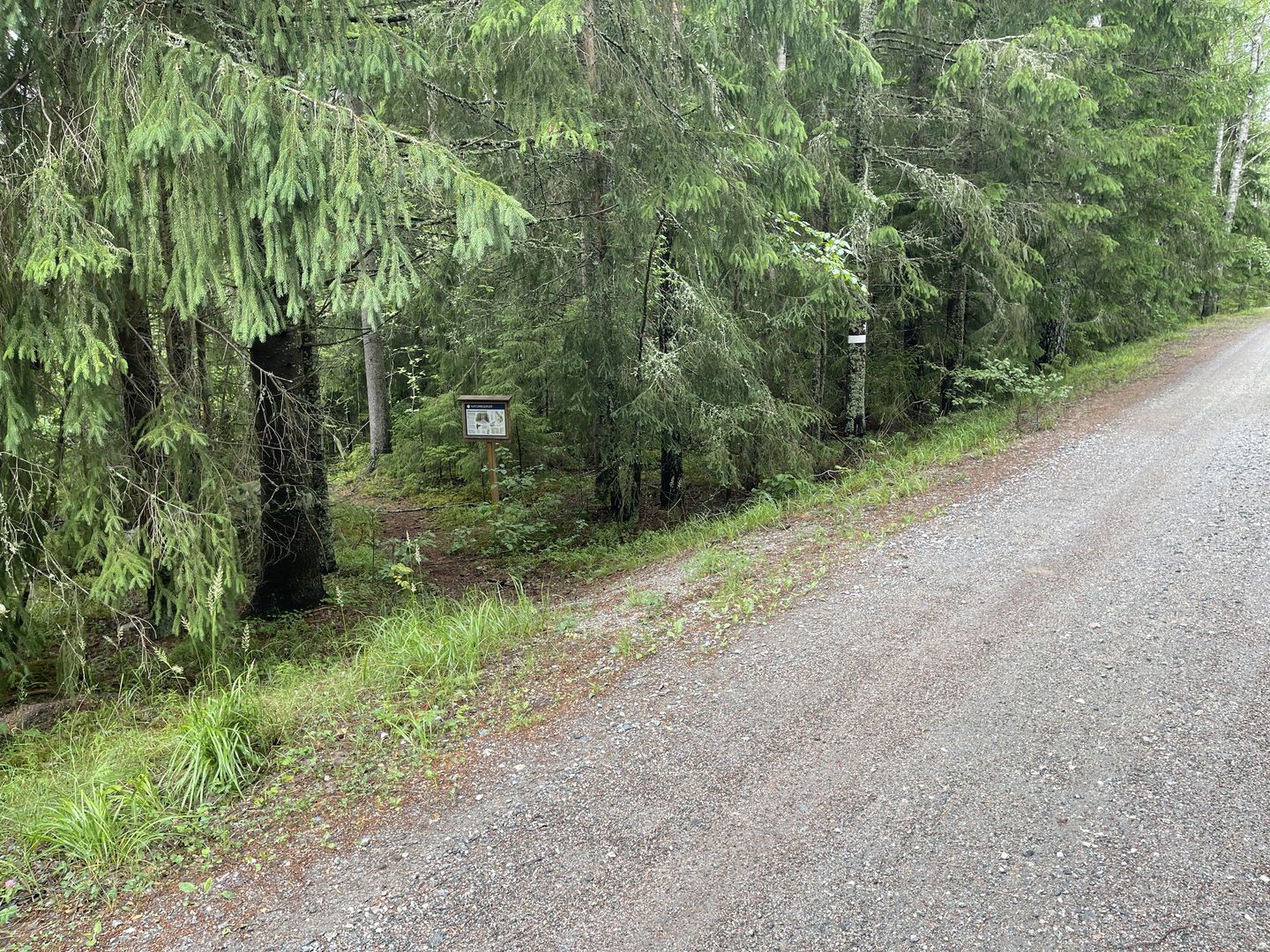 Informationstavla vid stig inne i en skog. Reservatsmarkering på ett träd.