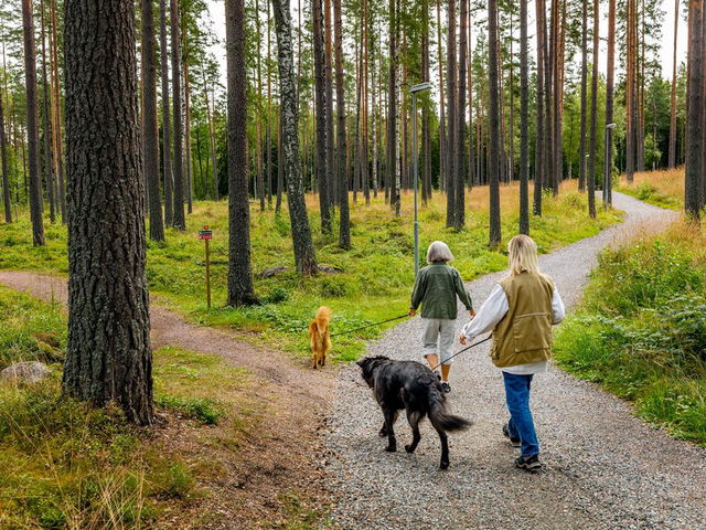 Promenad runt Dammsjön (Bingoslingan)