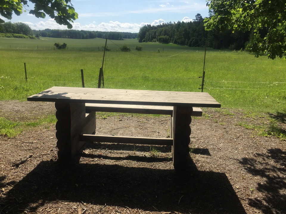 Ett bord med bänk på ena sidan står vid en instängslad äng.