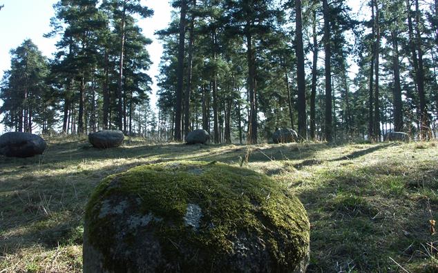 Naturområde med synligs fornminnen i form av bland annat stora stenar so