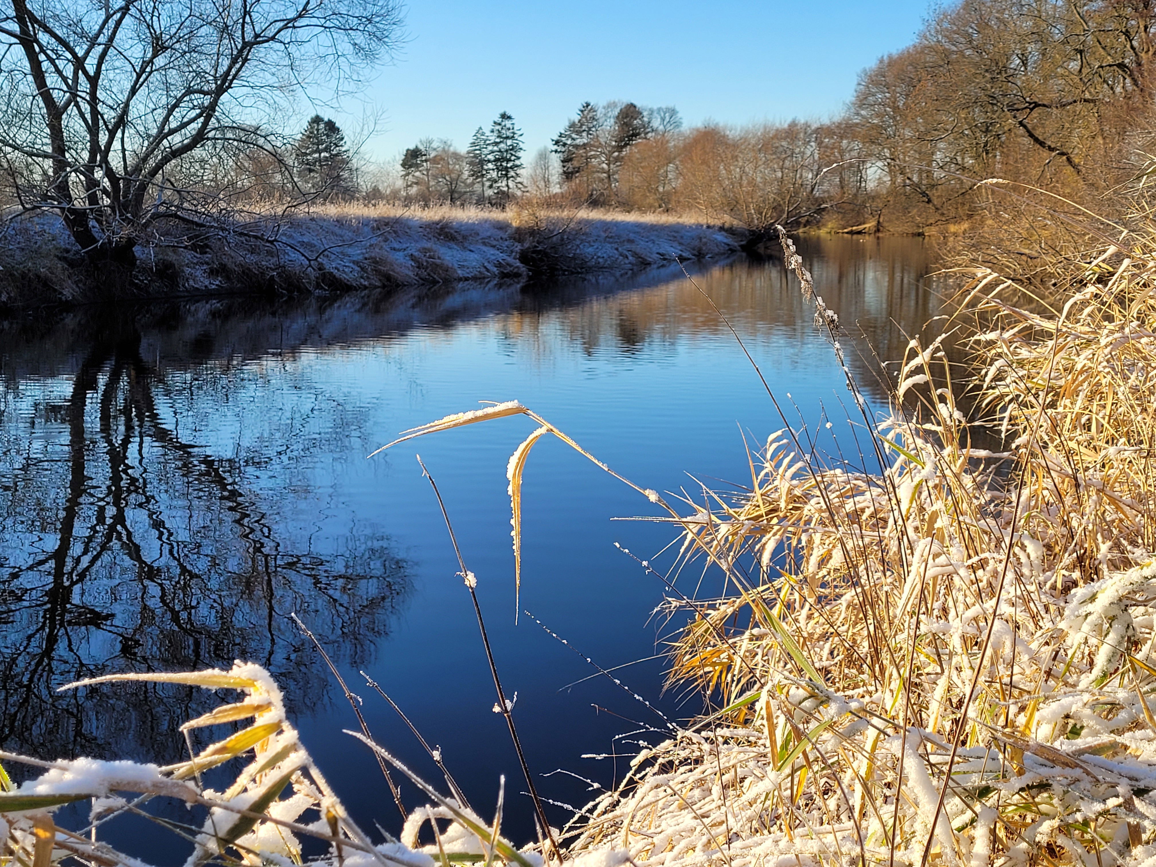 Höja Rönne å vindskydd Ängelholm