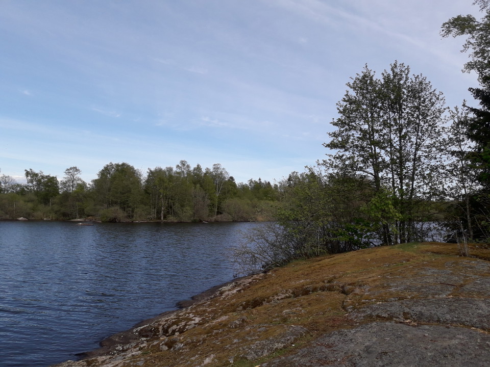 Sjökontakt