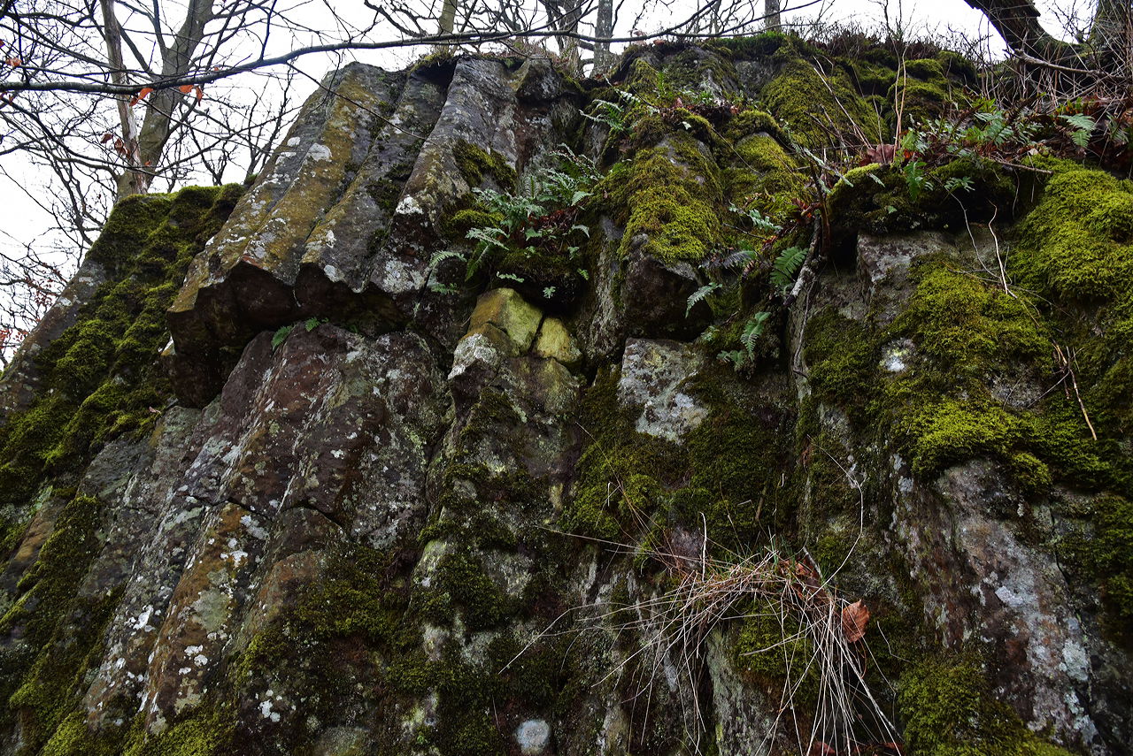 Vulkansafari längs med Rönne å och runt Ringsjön