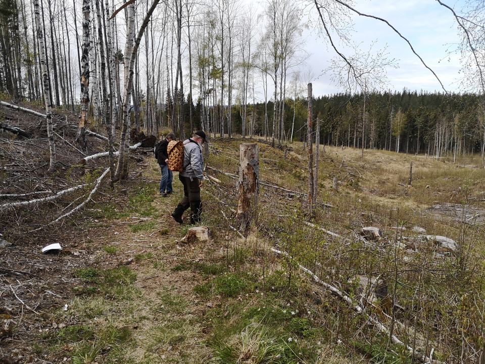 Vandring i omgivningarna