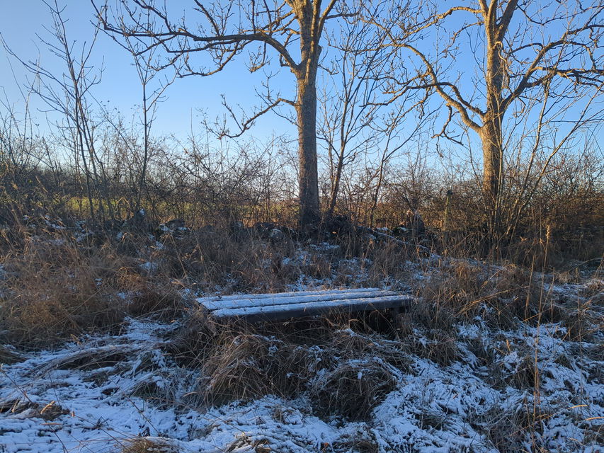 Sittbänk
