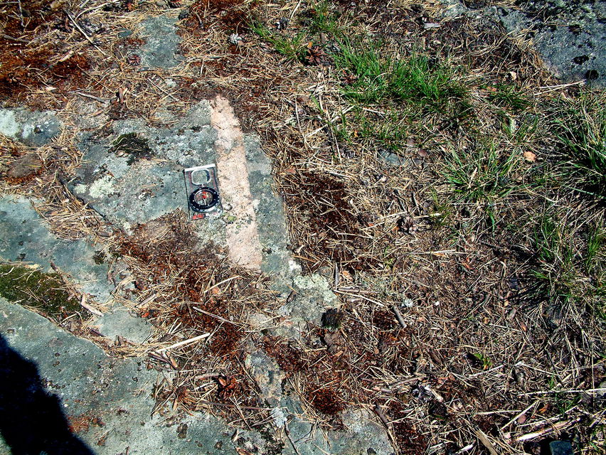 Smal gång av finkornig, ljus, kvartsrik bergart (aplit) i svart, basisk huvudbergart (diorit) vid Badberget (G. Knutsson 2008).