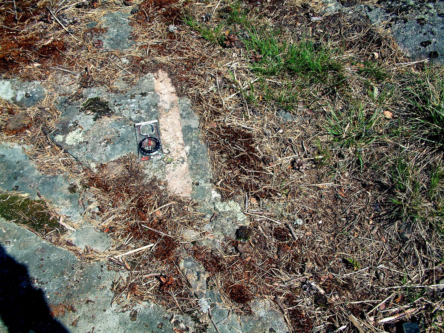 Smal gång av finkornig, ljus, kvartsrik bergart (aplit) i svart, basisk huvudbergart (diorit) vid Badberget (G. Knutsson 2008).