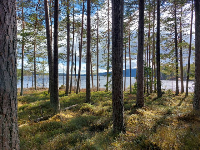 Femvikens naturreservat