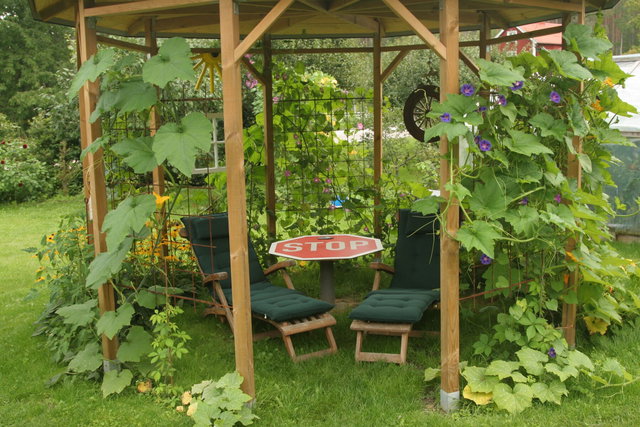 Bed & Breakfast Björkhyddan