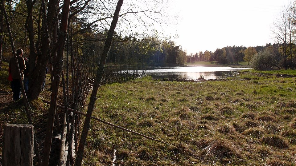 Betesmark vid Västra Långängskärret. Foto Lidingö stad