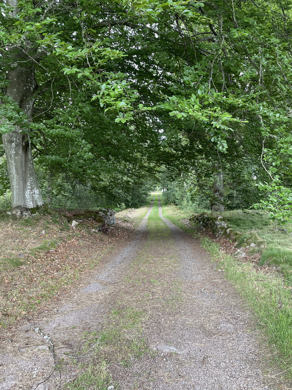 Kultur- och vandringsrunda i Hishult