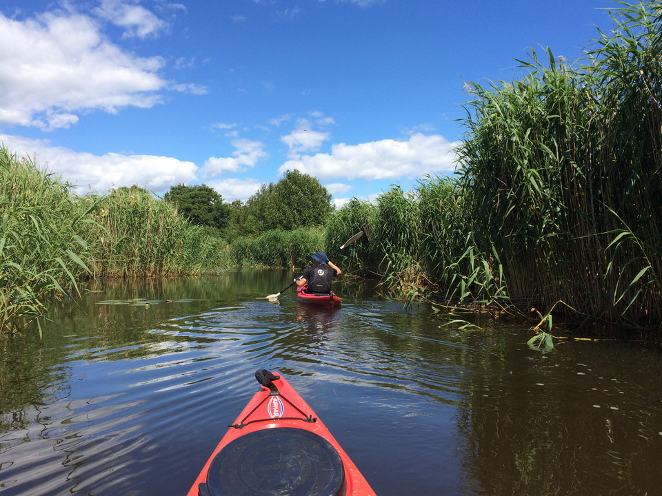Paddla i Vattenriket