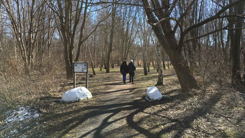 Två personer promenerar i en träddunge