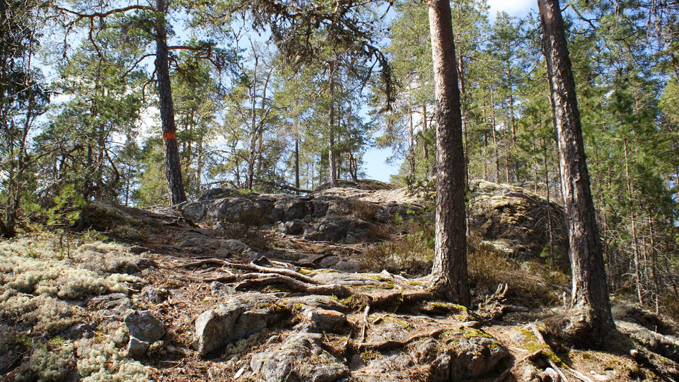Härlig kupering strax innan Jättens Grav
