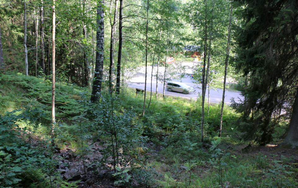 Bild ner mot väg stående uppe vid vattenfallets fot.