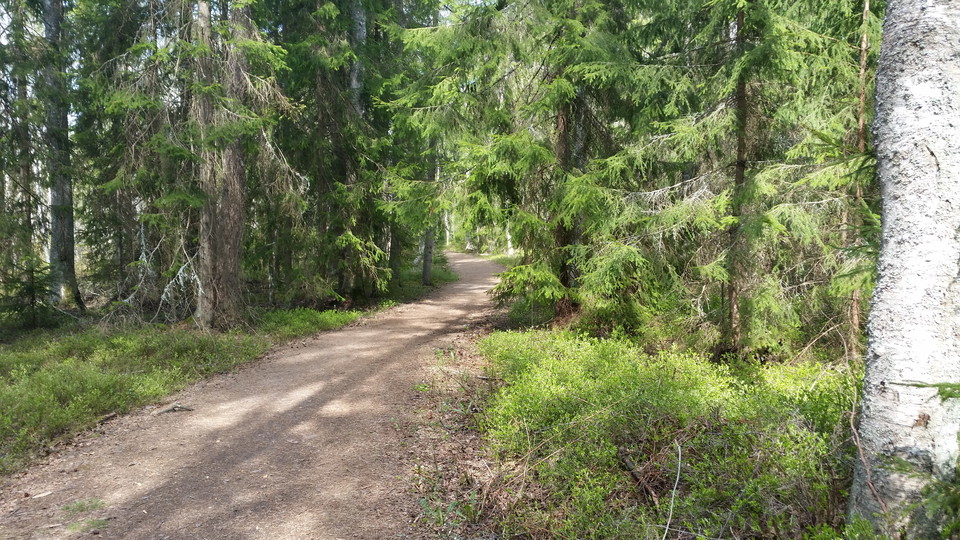 Foto: Håkan Lernefalk