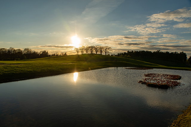 Näckrosdammen på Skogskyrkogården