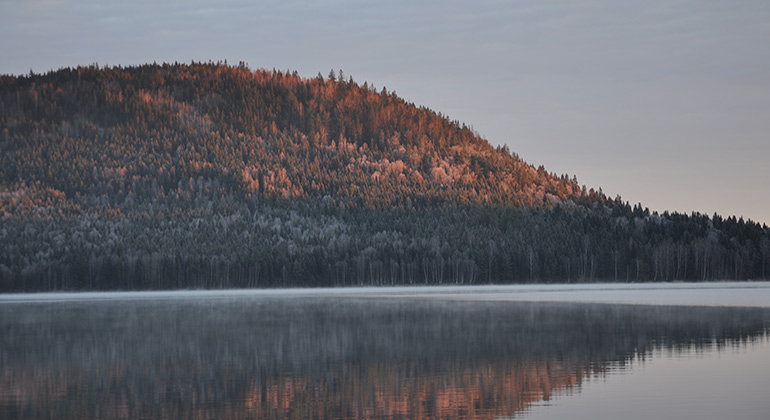 Torsberget i decemberljus.