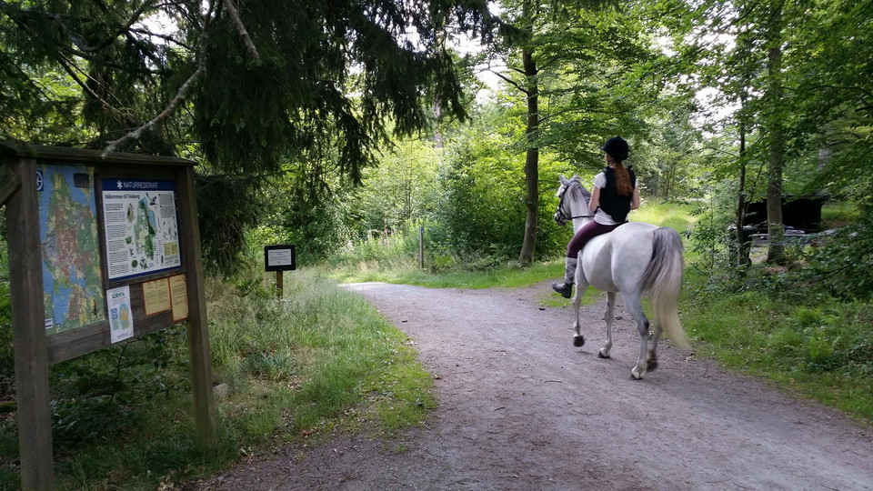 Ryttare på Växjö runt