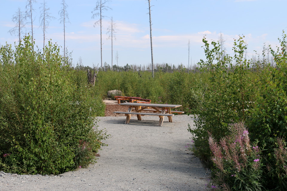 Picknickplats med bänkar på en grusad yta bland grön sly.