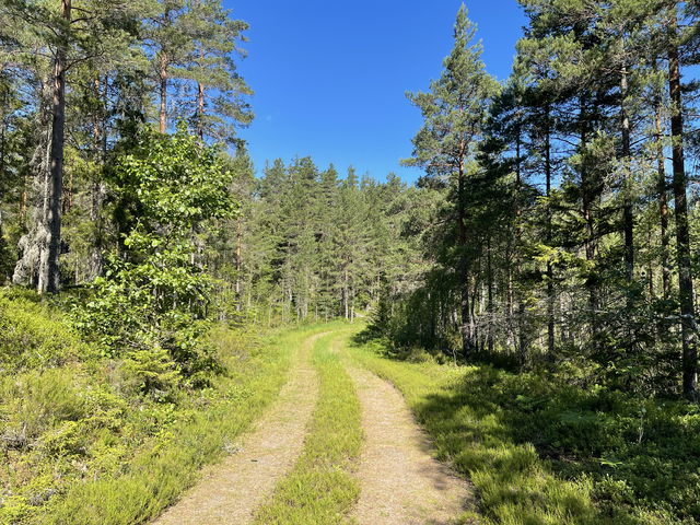 Stora Fjällsjön