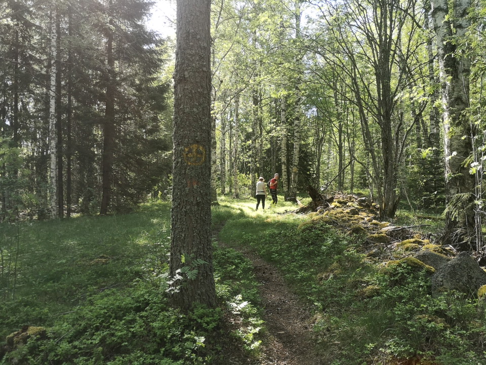 Längs med stigen