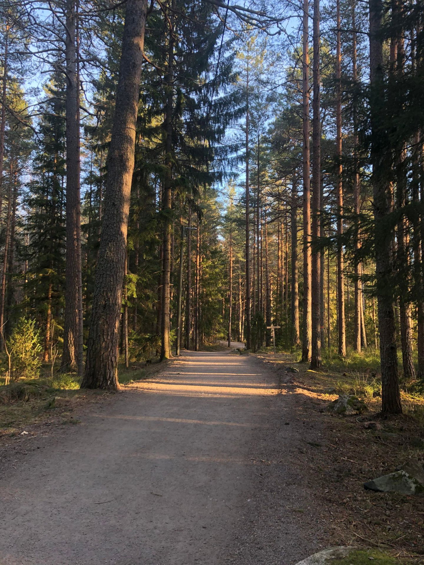 2-km spåret Hemlingby