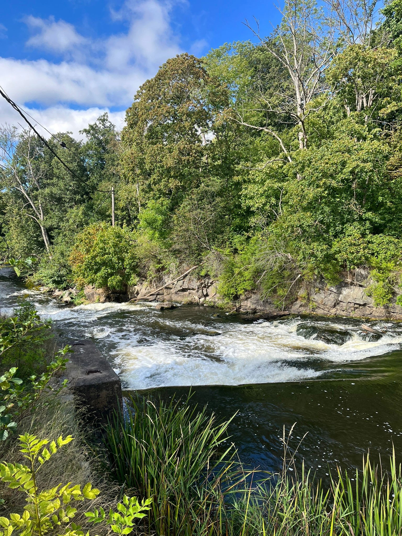 I Klippan bjuder Rönne å på forsar, här vid Pappersbruket