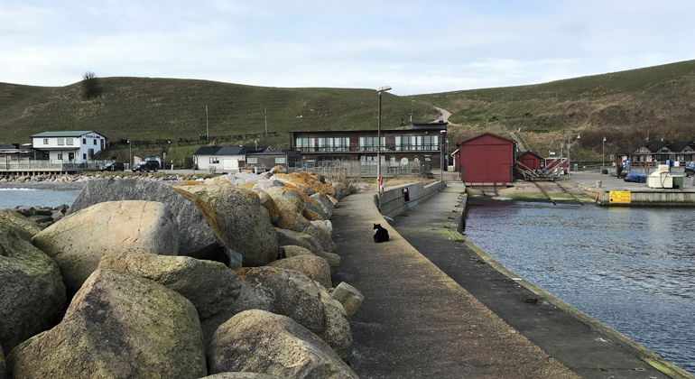 Kåsebergaåsen sett från hamnen i Kåseberga.
