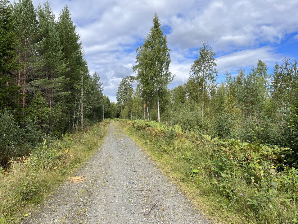 Nybergsbanan Nyberget