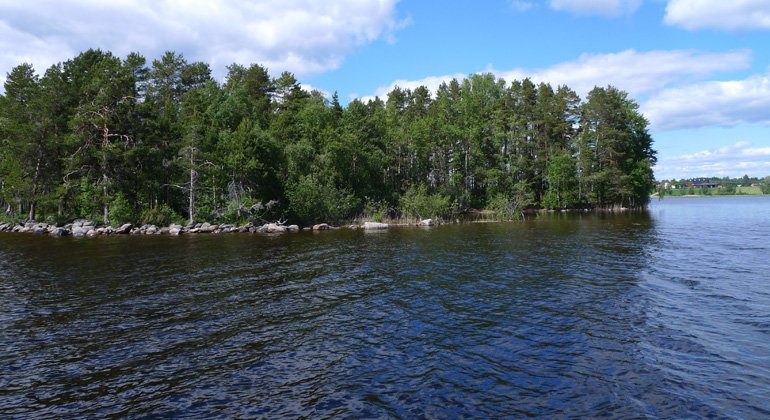 Med båt kan du ta dig till Hålsjöholmen i sjön Sördellen.