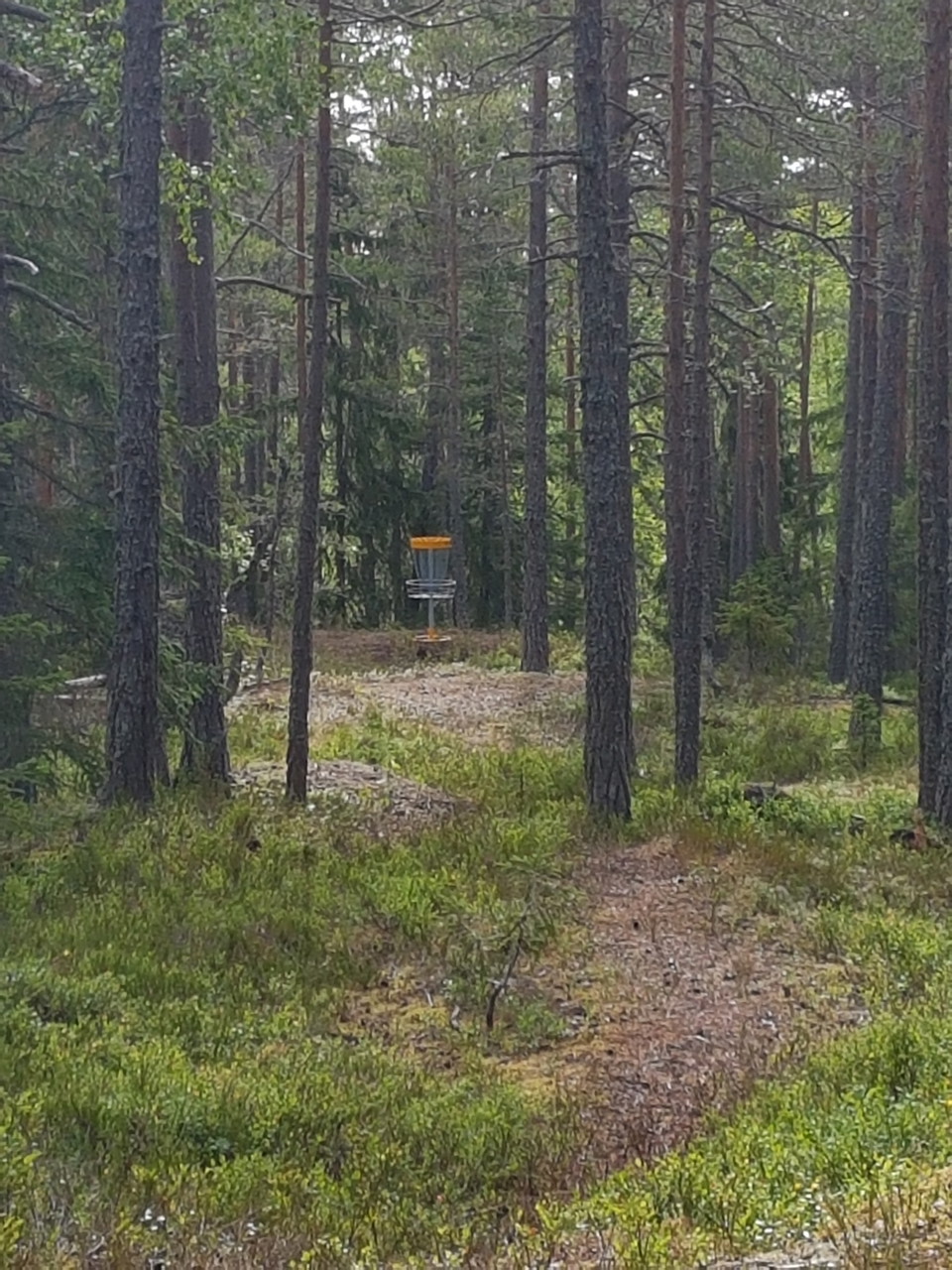 Discgolfbana