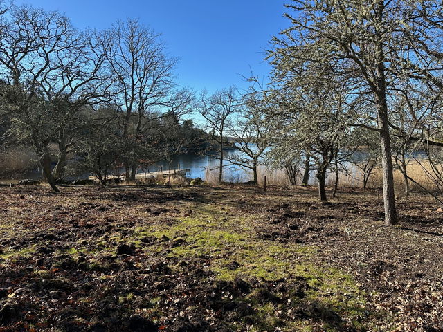 Tältplats, Eriksbergs stränder