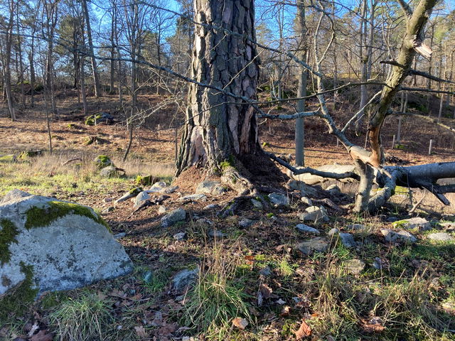 Fornlämning 3 - Gravfält från Vendeltiden