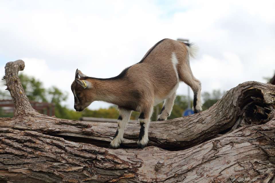 Welcome spring in scenic Kalmar