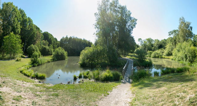 Vid dammarna, tysta platser. Rågsveds naturreservat