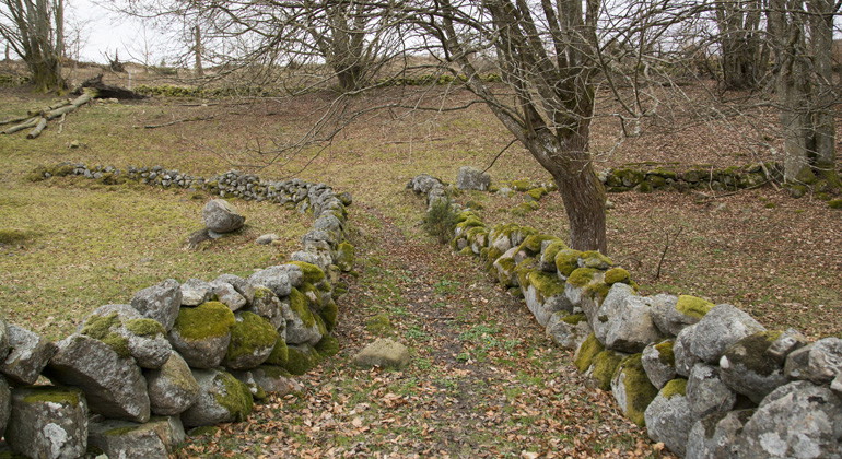 Fägata.