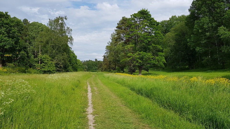 Äng söder om Tyktorpsvägen. Foto Lidingö stad