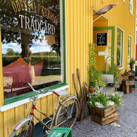 Odensvi Kuriosa