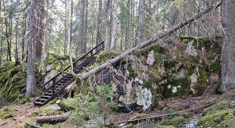 En trappa i skogsterräng. Foto.