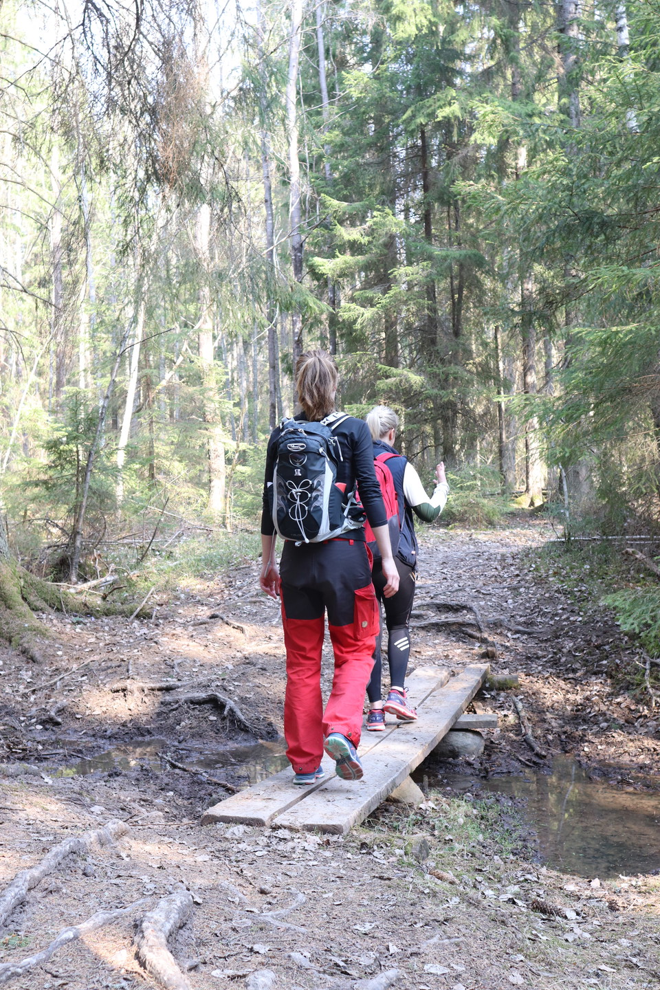 Hikers near Stora Ladängen in Vallentuna