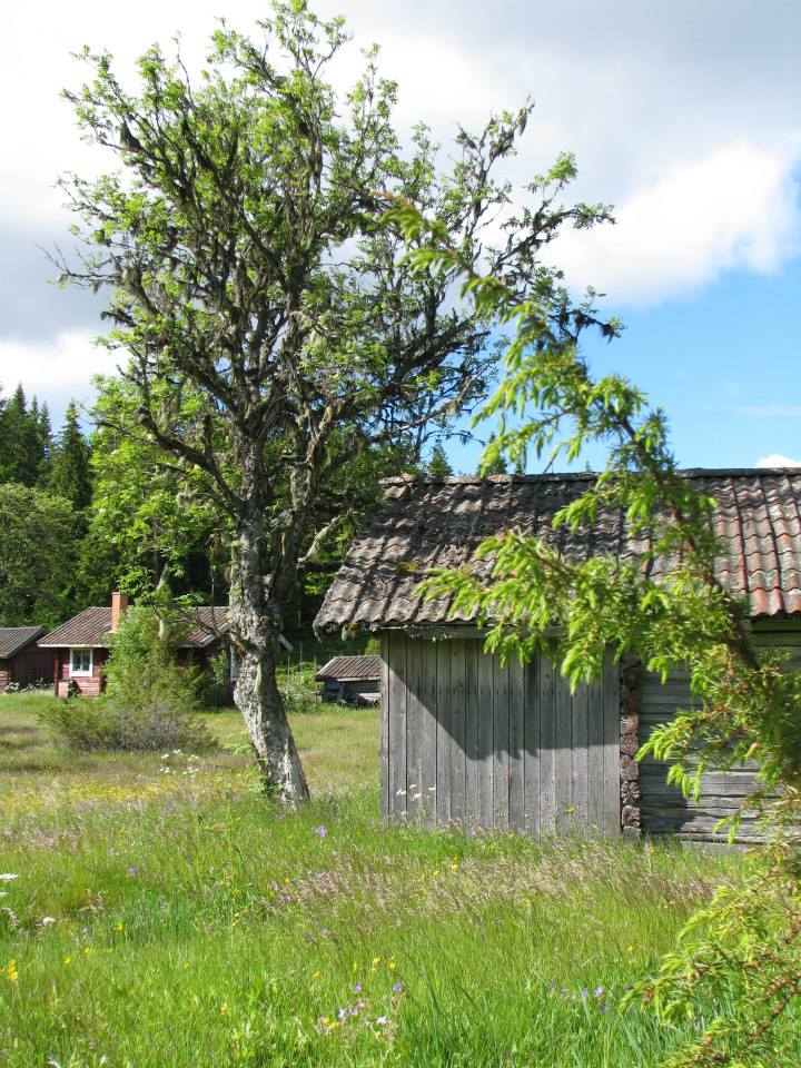 Bastberget har varit nordens största aktiva fäbodställe.