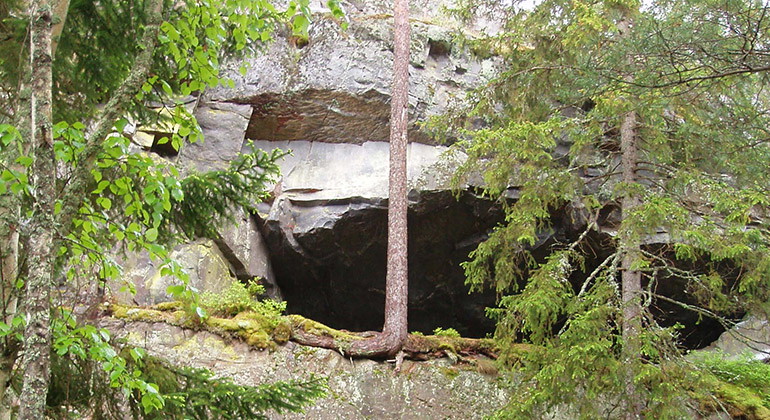 Grotta i skogen