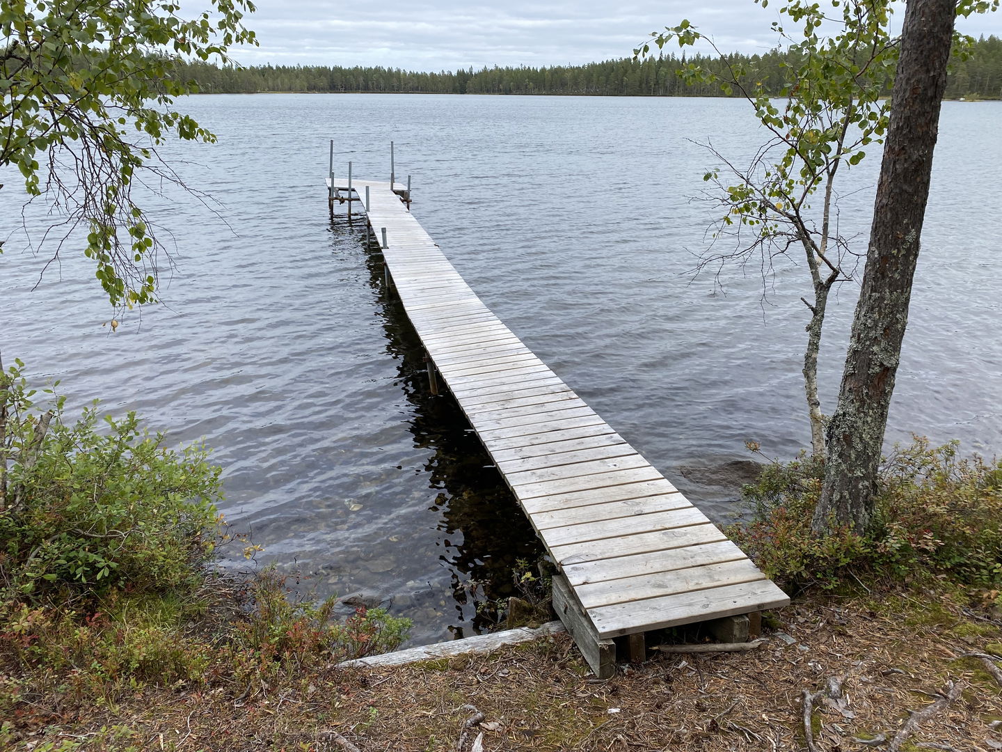 En smal träbrygga i en sjö.