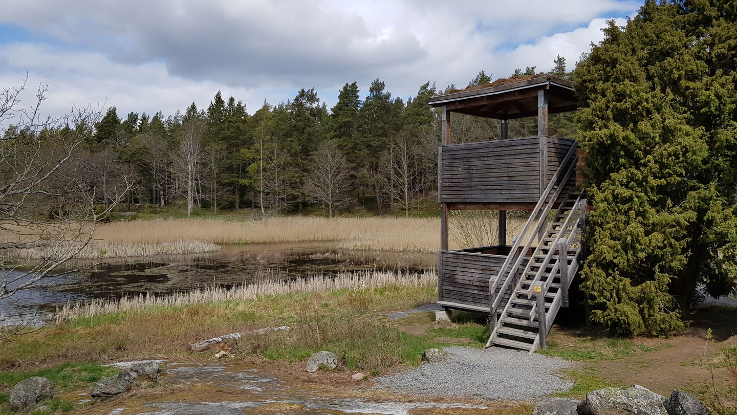Fågeltornet vid Västra Långängskärret. Foto Lidingö stad