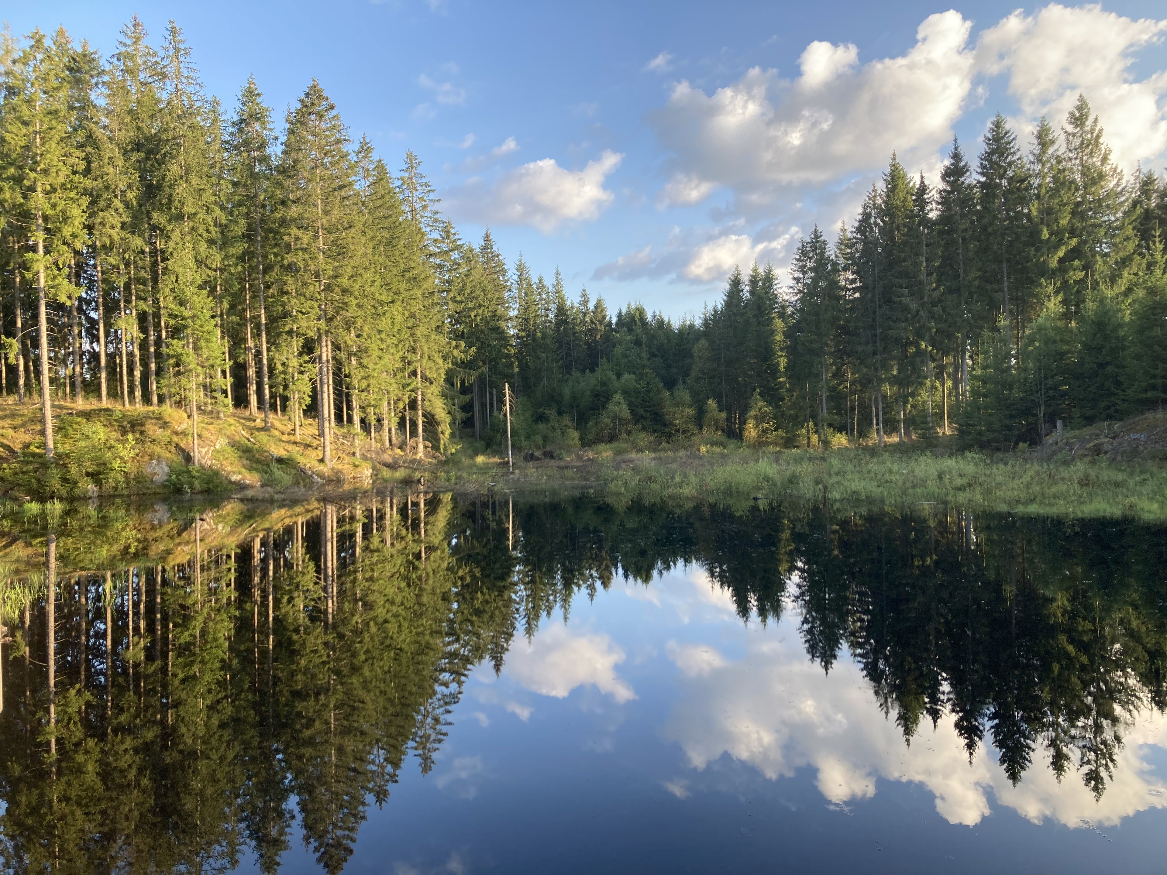 Värnamoleden etappe V1 Mossle - Kärda - Teil des Smålandswanderwegs
