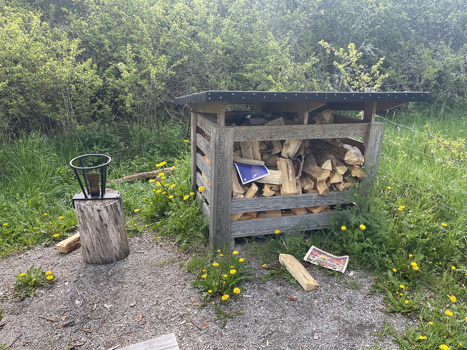 Vedklyv och vedförråd fylld med ved och några tidningar.