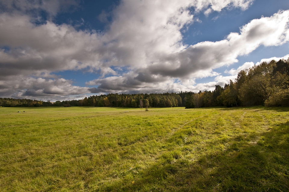 Utsikt från Grimsta enebacke